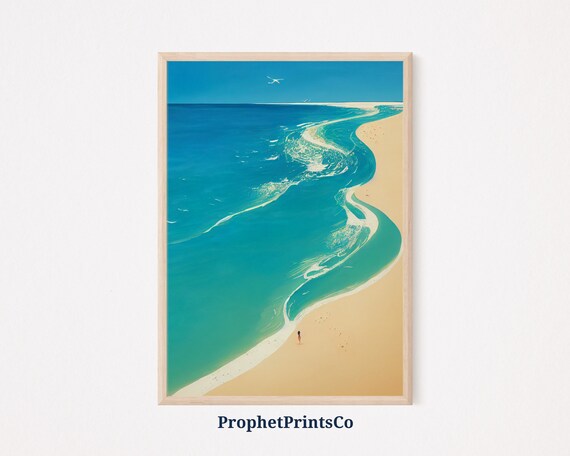 Aerial Beach With Winding Shoreline Lone Figure And Seagull Poster