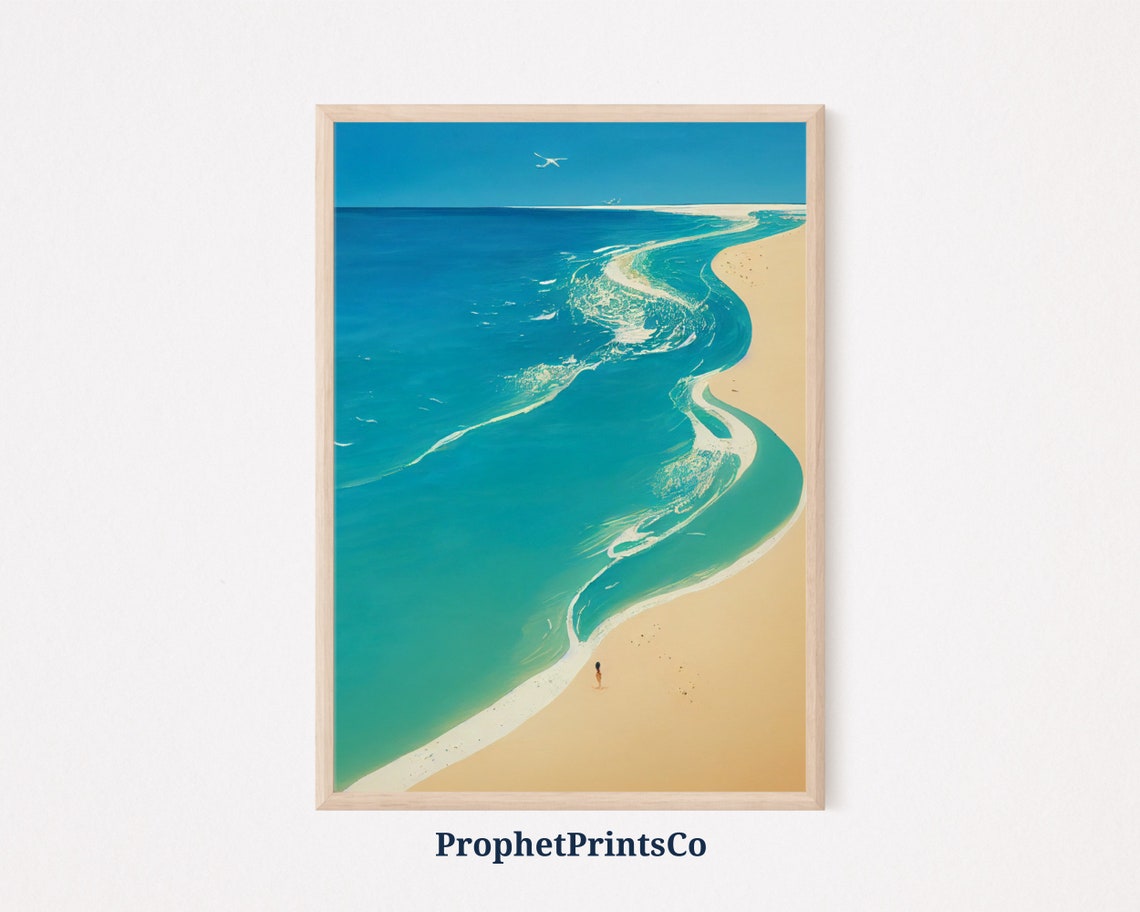 Aerial Beach With Winding Shoreline Lone Figure And Seagull Poster