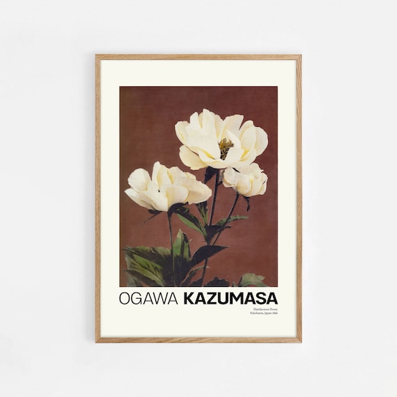 Japanese Flower Prints Ogawa Kazumasa Poster Kazumasa Exhibition Poster Wall Art Prints Gallery Art Downloads