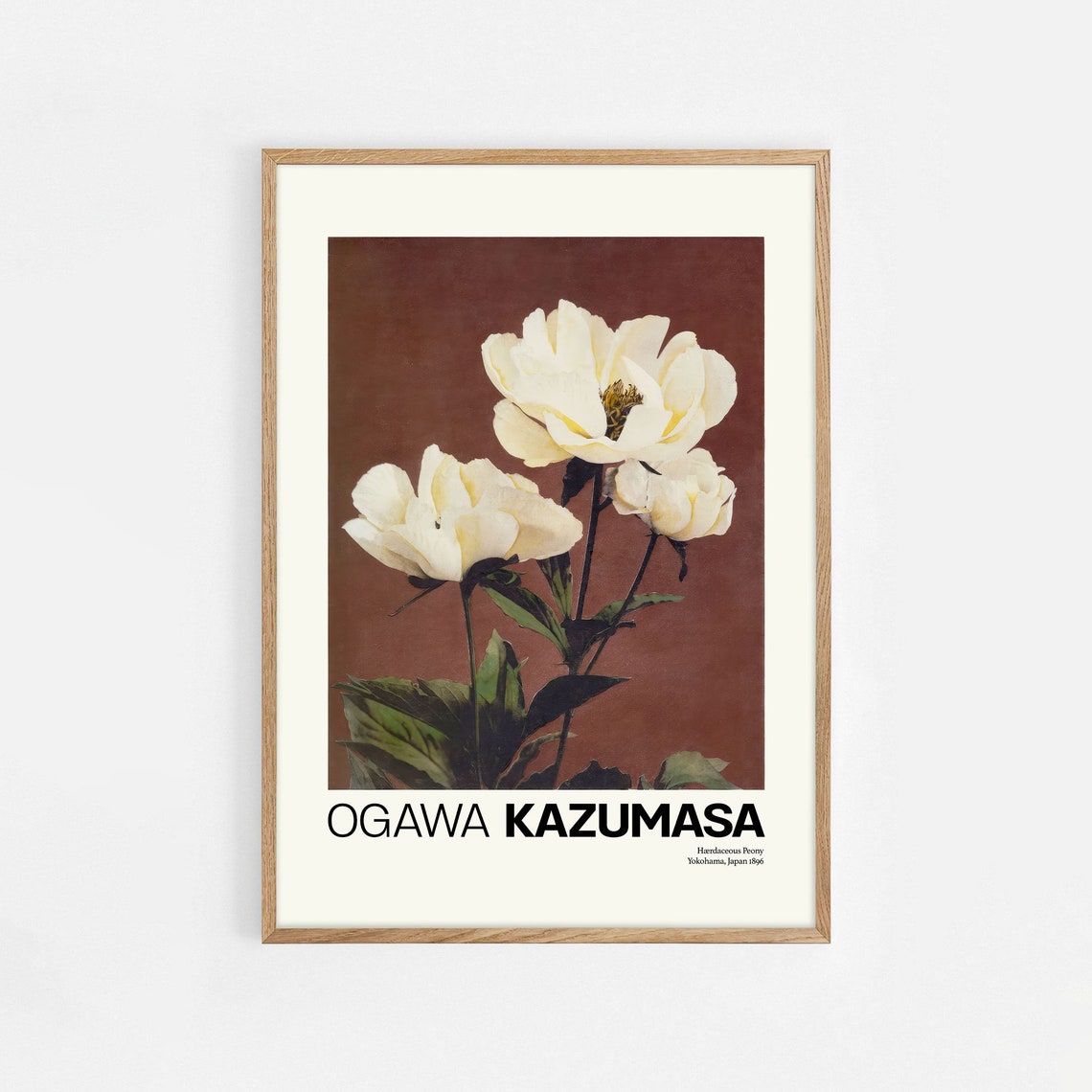 Ogawa Kazumasa Herbaceous Peony 1896 Japanese Botanical Poster
