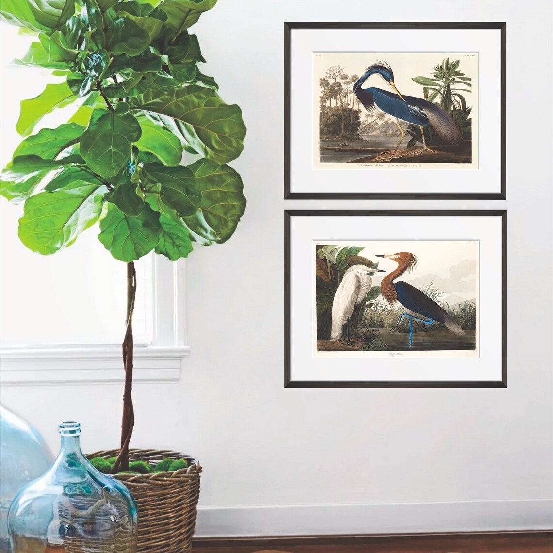 Purple Heron Audubon Vintage Bird Print, Coastal - Image 2