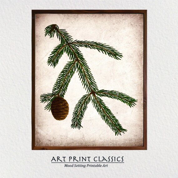 Vintage Pine Cone Rustic Nature Art Print