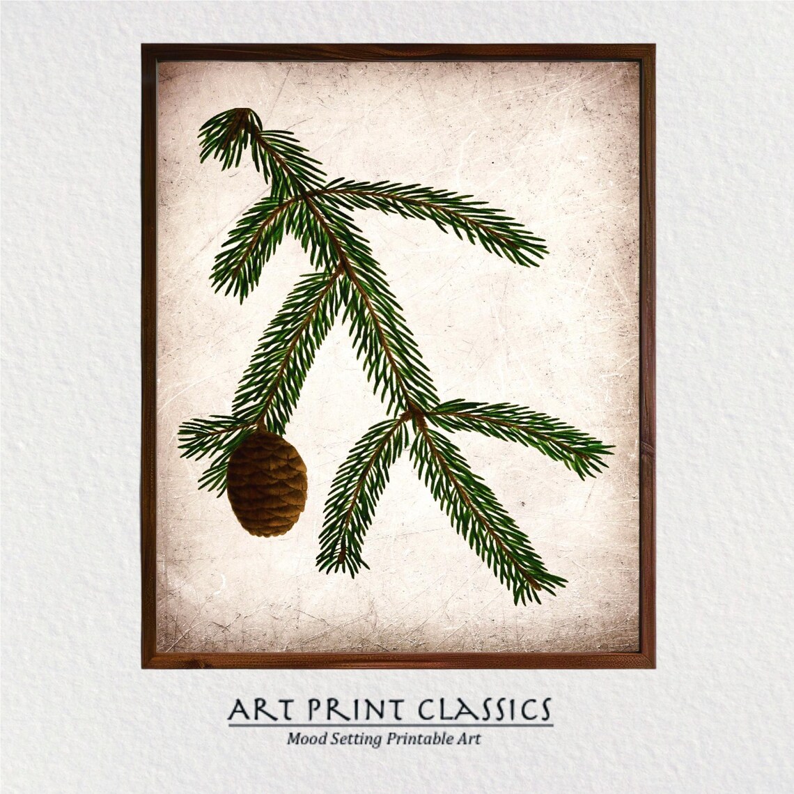 Vintage Pine Cone Rustic Nature Art Print