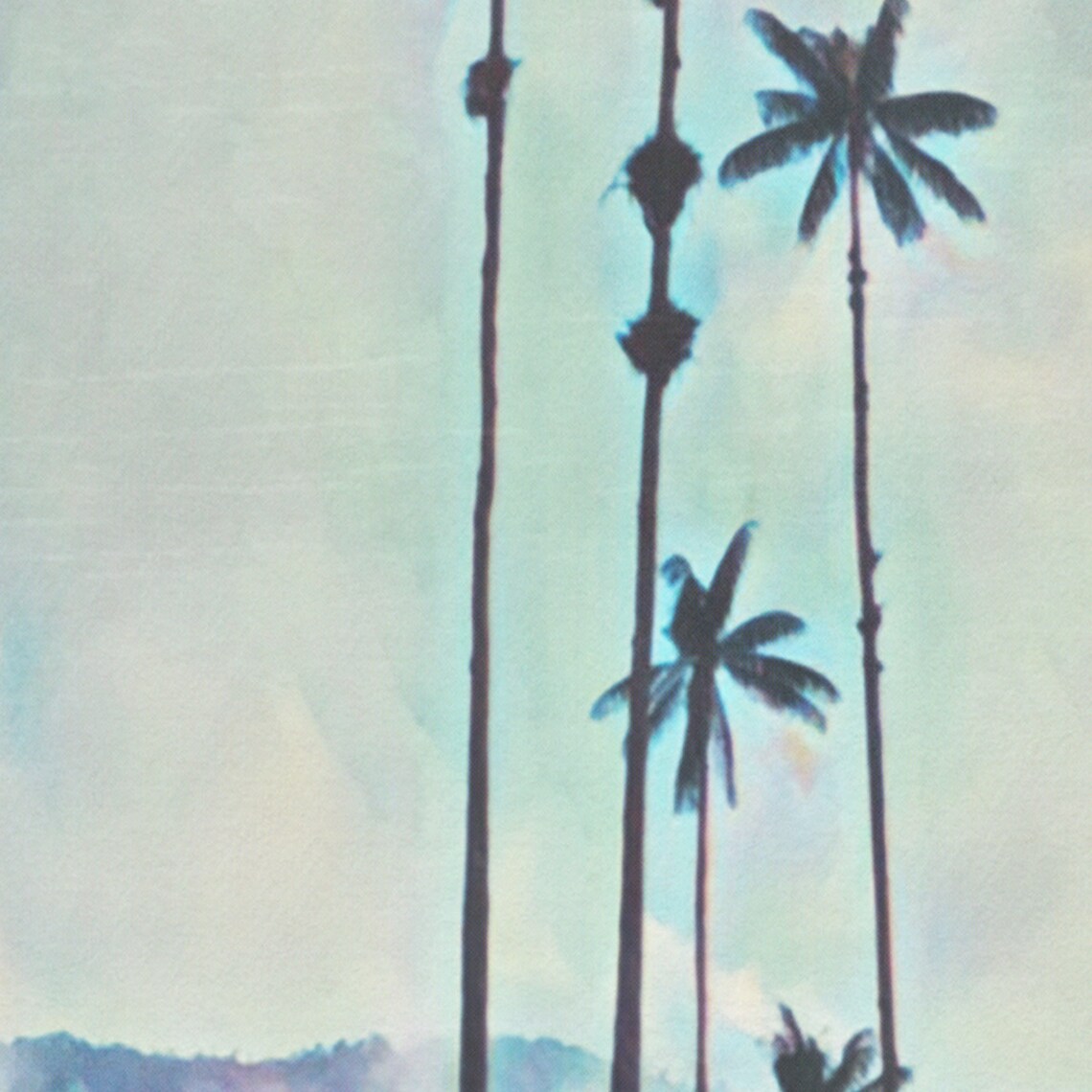 Cocora Colombia Valley of Towering Wax Palms Vintage Travel Poster - Image 4