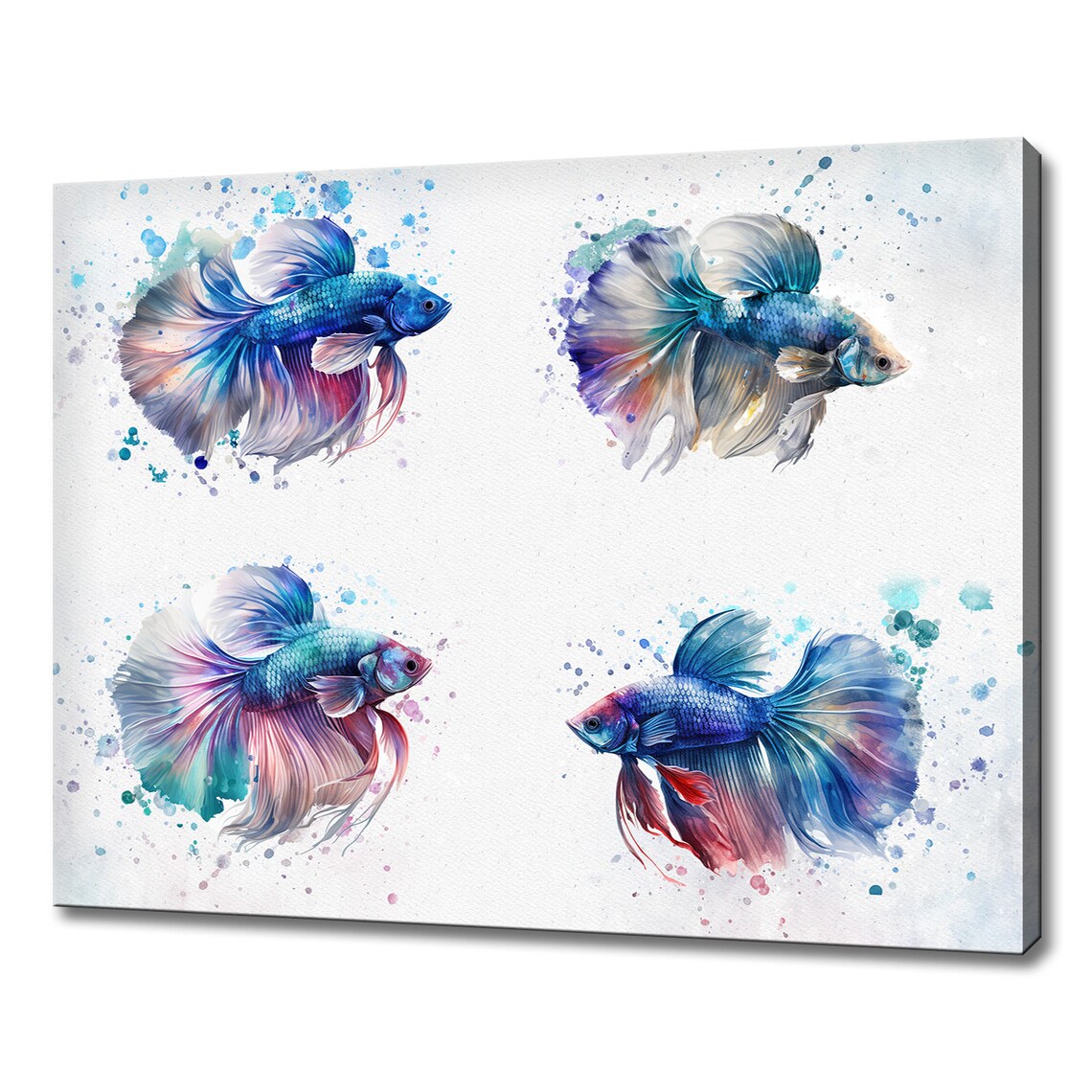Four Betta Fish Watercolor Blue Purple Splash Aquarium Art Poster