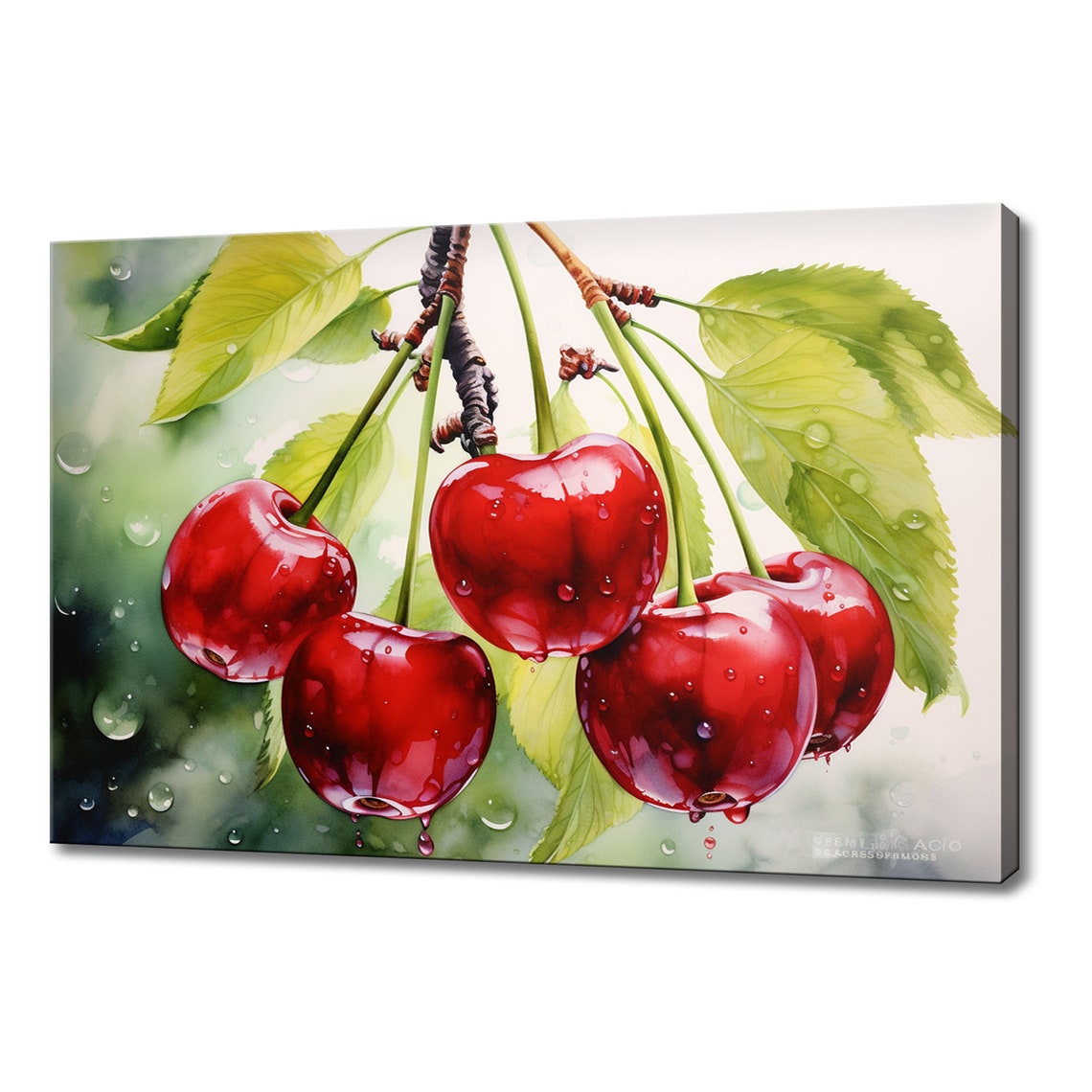 Juicy Red Cherries On Branch With Water Drops Watercolor Poster