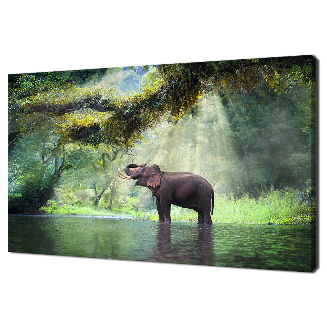 Wild Elephant In The Forest, Wildlife Poster Print