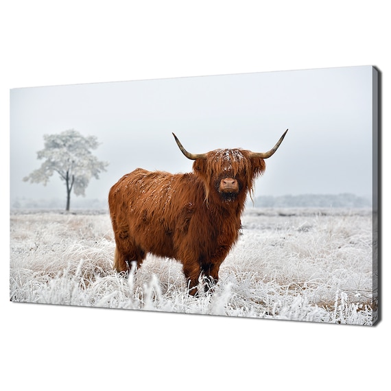 Scottish Highland Cow Winter Wall Art Print, Home Decor