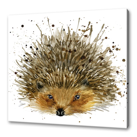 Colorful Hedgehog Art Print, Animal Wall Decor