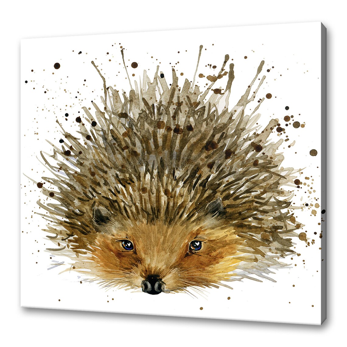 Colorful Hedgehog Art Print, Animal Wall Decor