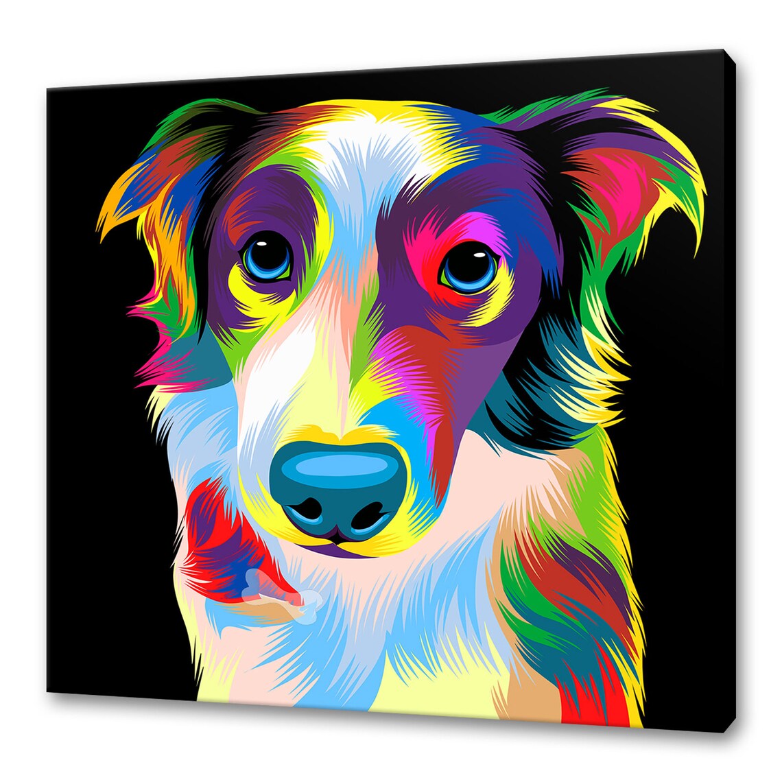 Border Collie Art Print, Modern Pet Portrait