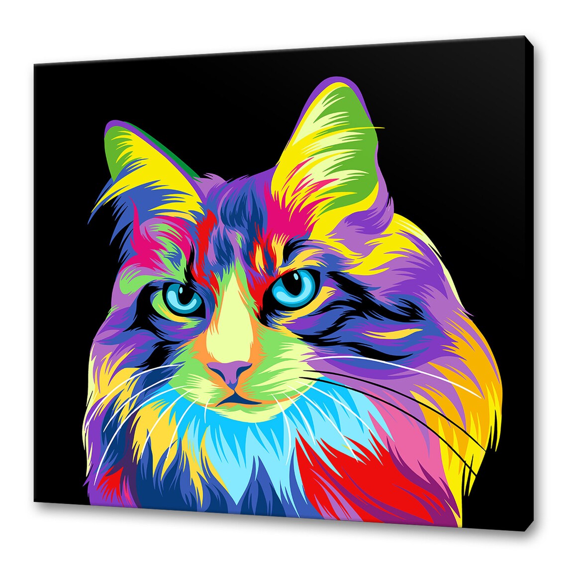 Ragdoll Cat Art Print, Colorful Animal Home Decor