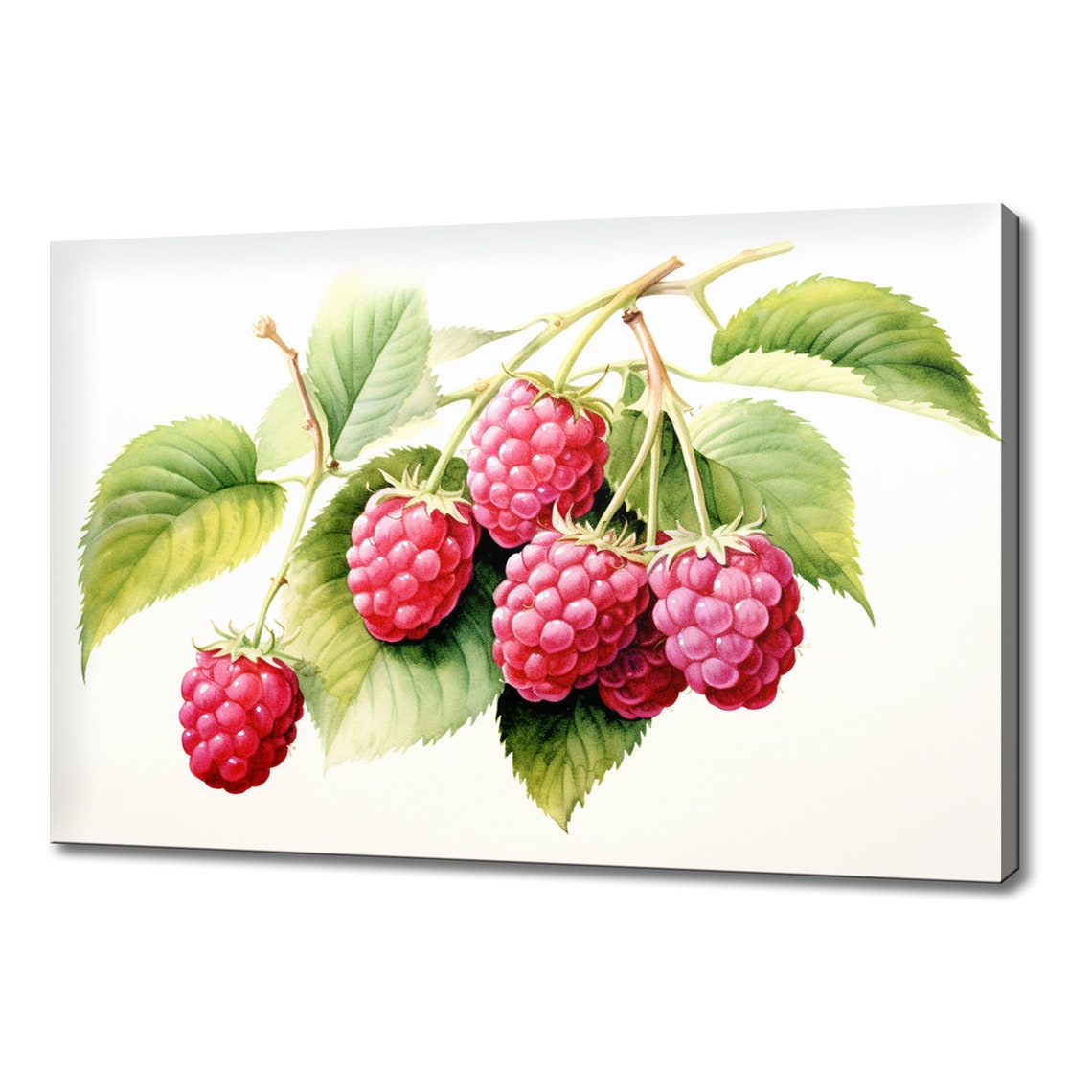 Pink Raspberry Branch Watercolor Botanical Fresh Berry Poster