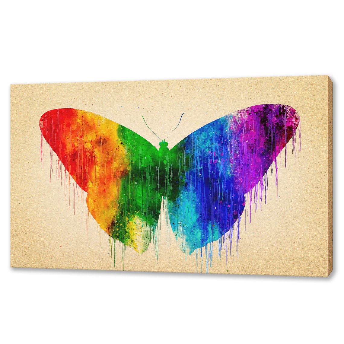 Rainbow Butterfly Watercolour Drip Wings Colourful Art Poster