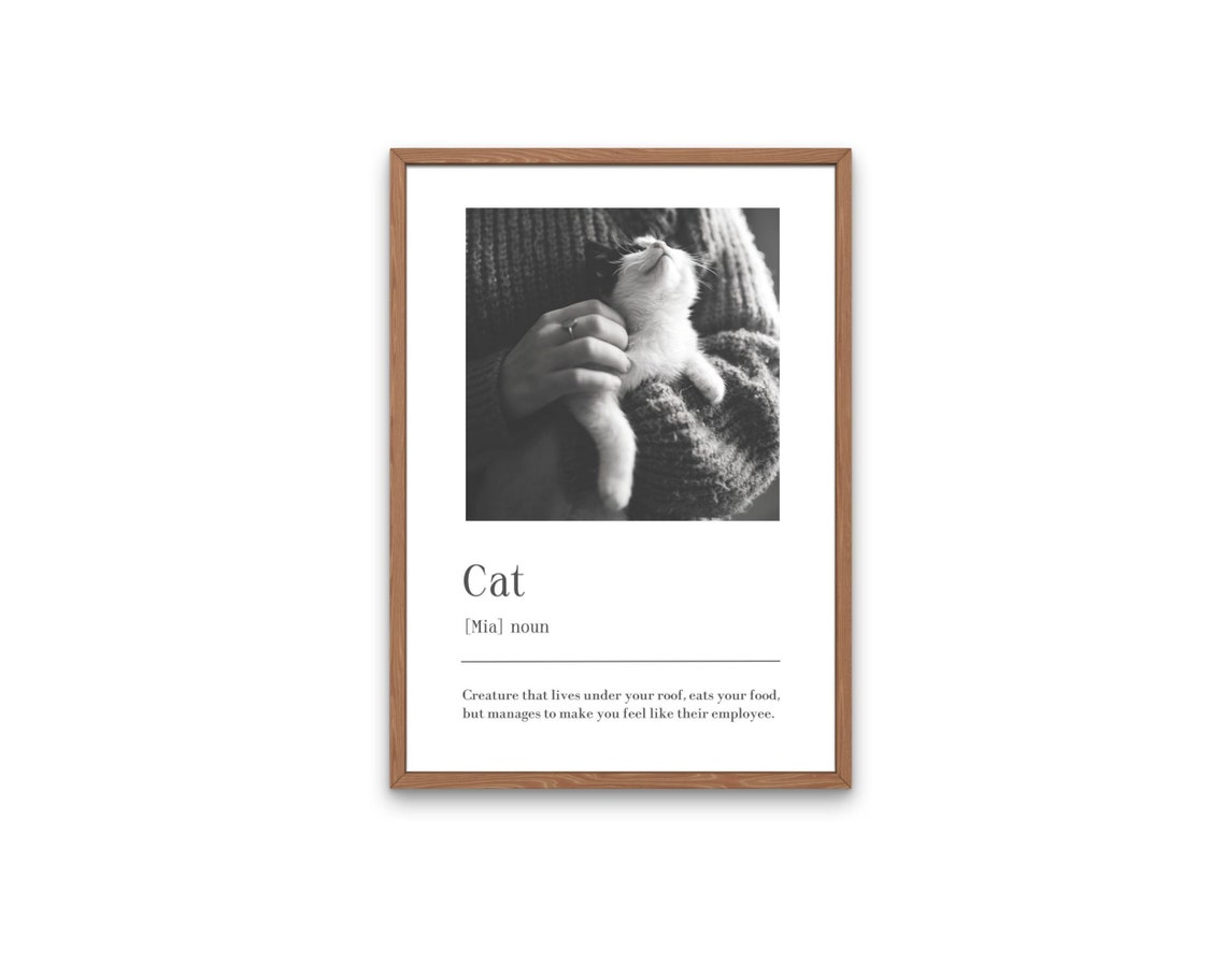 Cat Definition Mia Funny Personalised Pet Lovers Photo Print