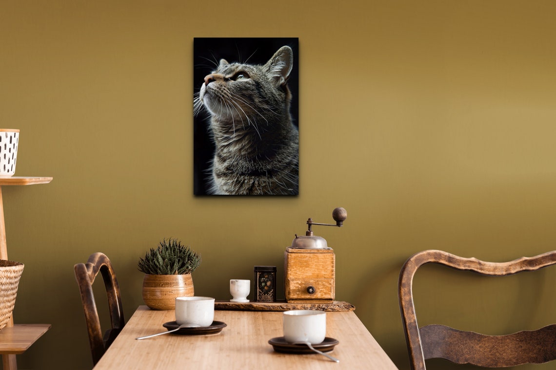 Tabby Cat Portrait Looking Up Dramatic Black Background Pet Poster - Image 3