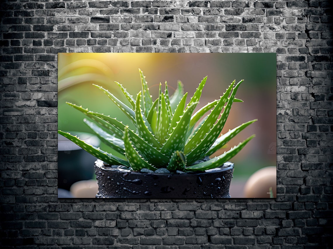 Potted Aloe Vera Succulent Black Pot Fresh Green Botanical Wall Art - Image 2