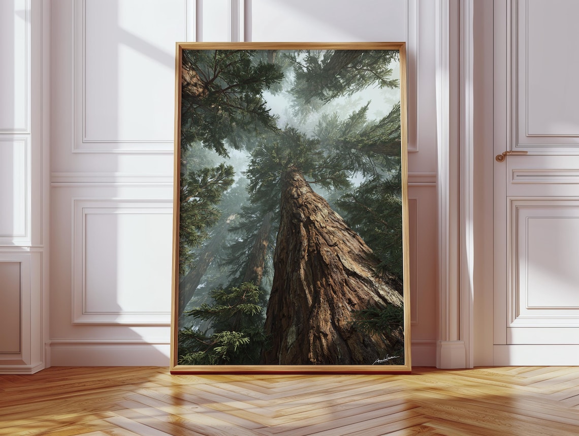Majestic Redwood Forest Art Print, Rustic Boho Home