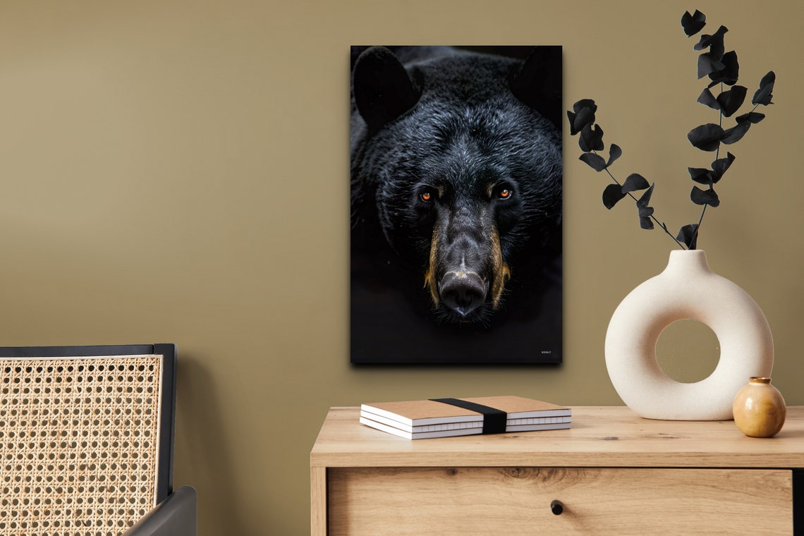Black Bear Face Portrait Dramatic Dark Background Wildlife Wall Art - Image 5