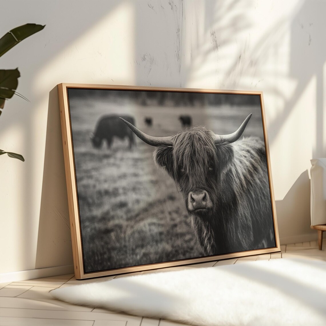 Highland Cow Black and White Photo Longhorn Cattle Art Poster