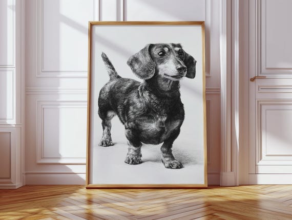 Black and White Dachshund, Minimalist Art Print