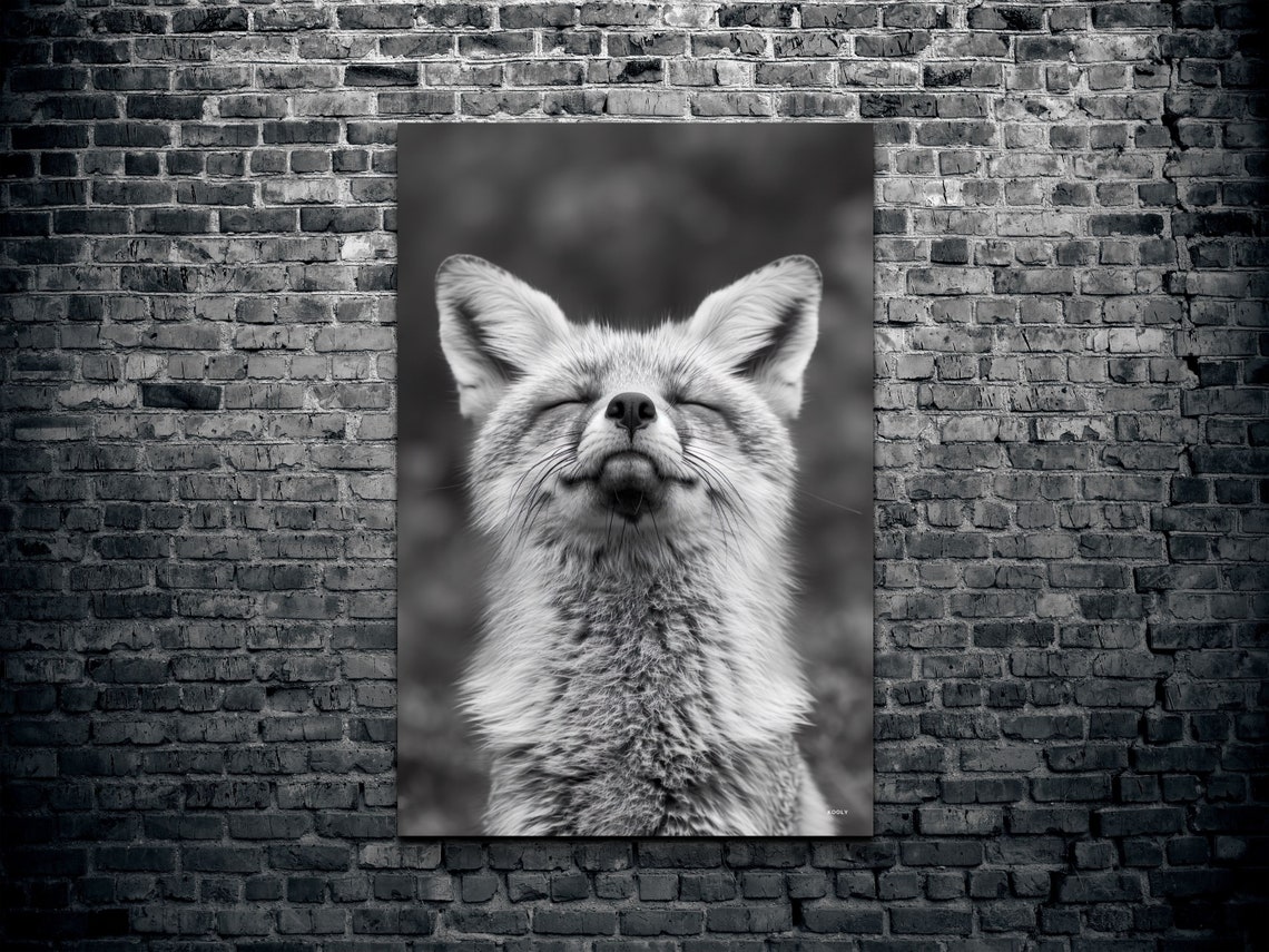 Smiling Fox Animal Wall Art Print - Image 2