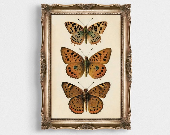 Boho Butterflies Print Butterfly Art Vintage Decor Print Art Girls Room Decor Modern Retro Boho Girls Nursery