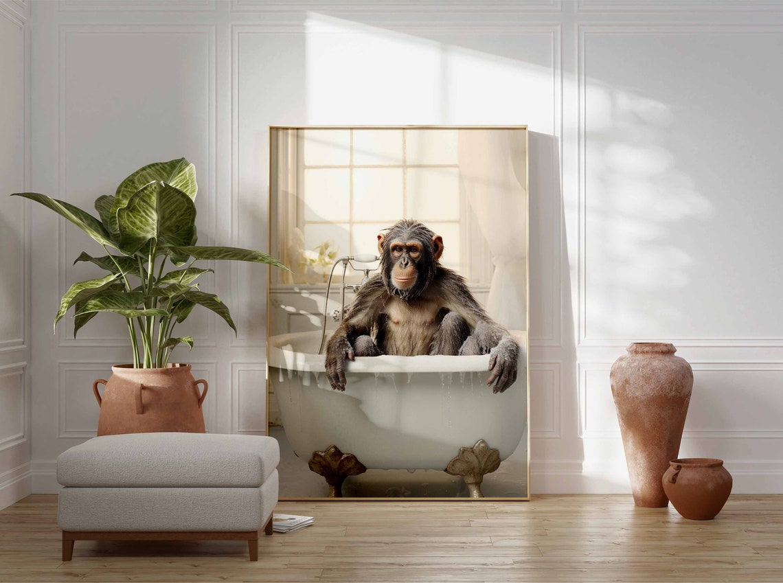 Wet Chimpanzee Dripping Water In A White Clawfoot Tub Poster - Image 3