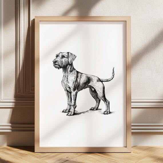 Airedale Terrier Vintage Print Dog Retro Poster Antique Painting Drawing Art Illustration Pet Sketch