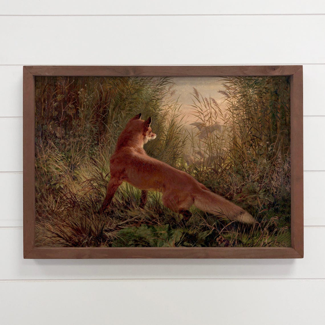 Vintage Red Fox In A Woodland Clearing Classic Wildlife Art Poster