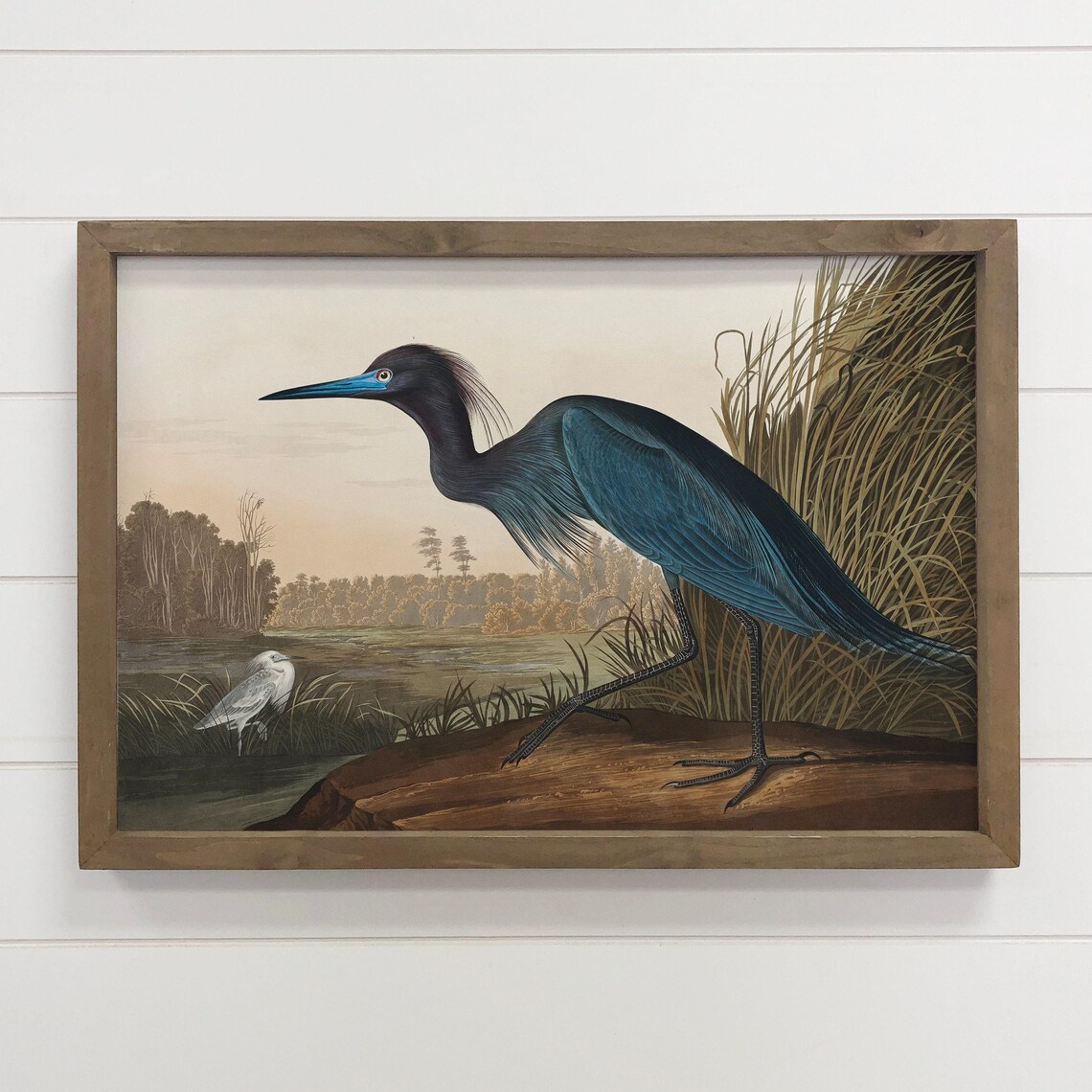 Audubon Blue Heron Lake Wetland Vintage Bird Illustration Poster