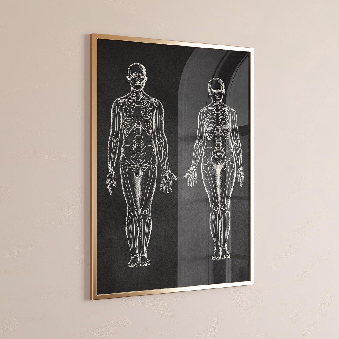 Vintage Human Skeleton Anatomy Dark Halloween Wall Art Poster - Image 2