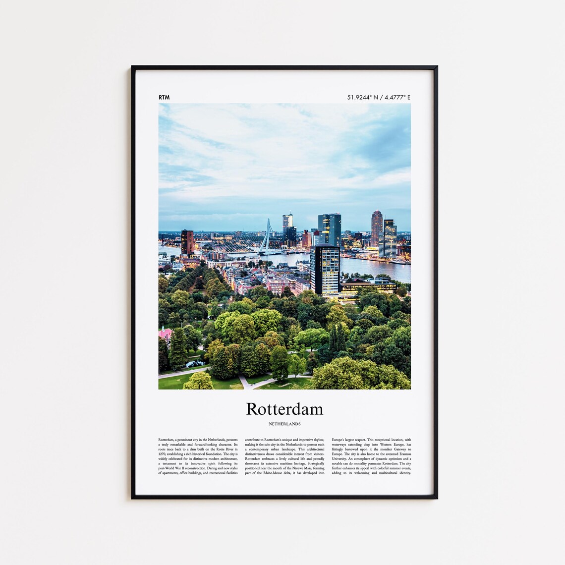 Rotterdam Netherlands Skyline Bridge Real Photo Travel Poster