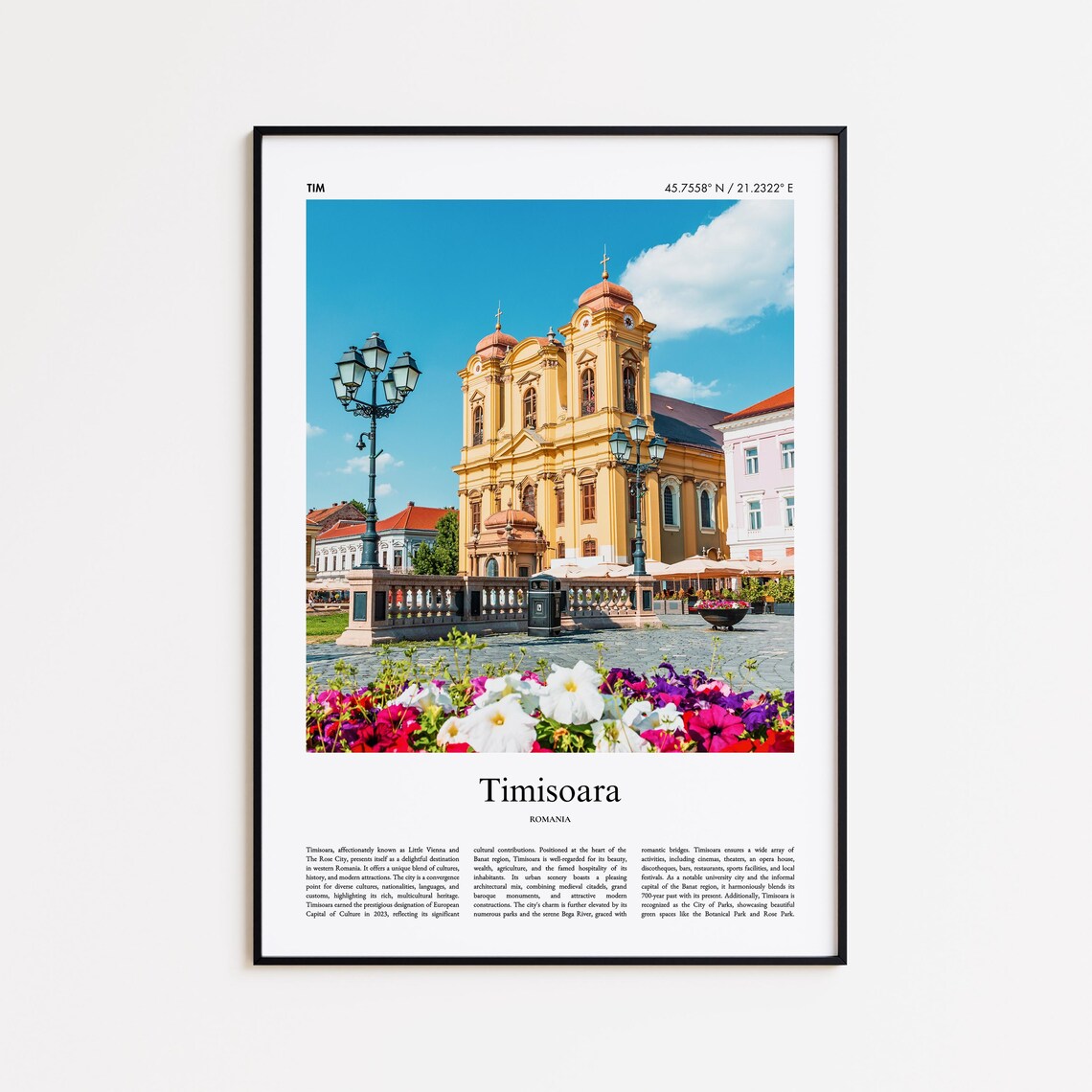 Timisoara Romania Baroque Cathedral Old Town Square Photo Poster