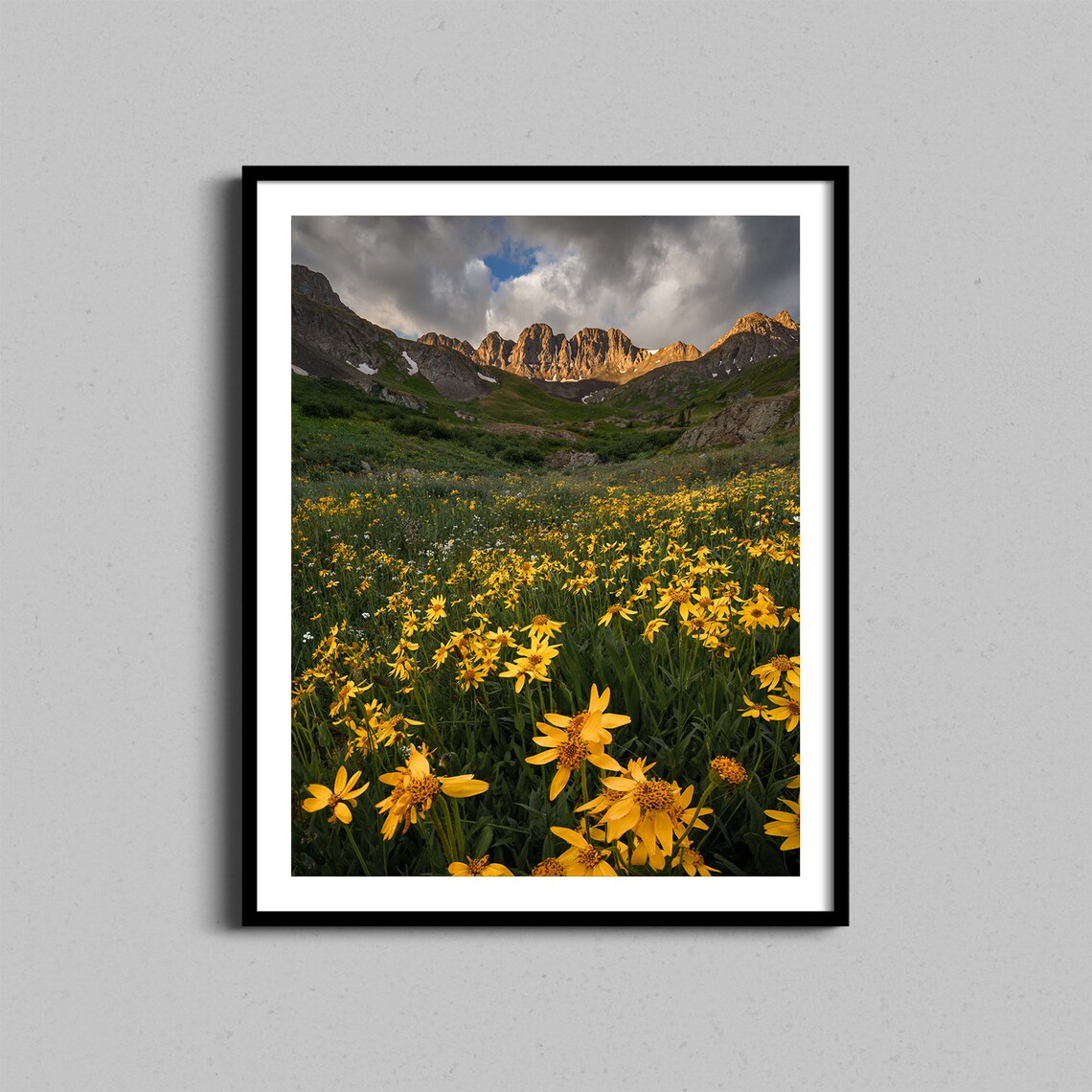 Colorado Wildflowers Art Print, Farmhouse Mountain Landscape