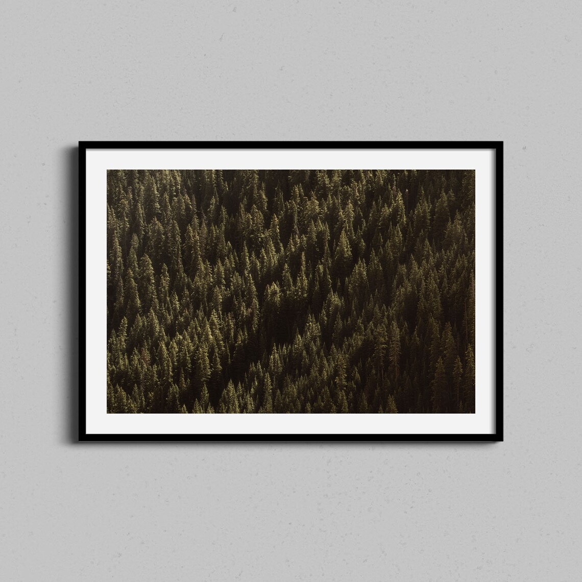 Colorado Evergreen Forest Aerial Trees Photography Art Poster