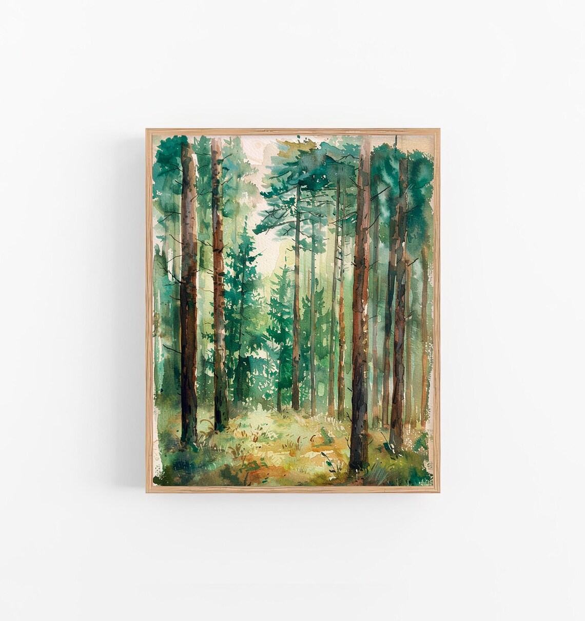 Colorado Pine Forest Morning Sunlight Watercolor Woodland Poster