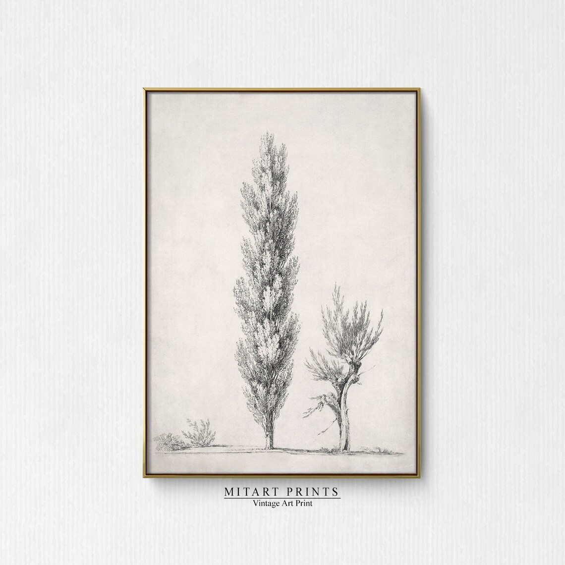 Antique Rustic Tree Sketch, Vintage Landscape Art Print