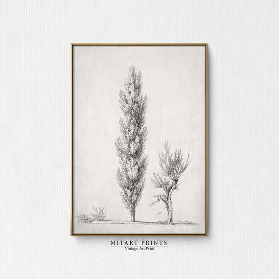 Antique Rustic Tree Sketch, Vintage Landscape Art Print