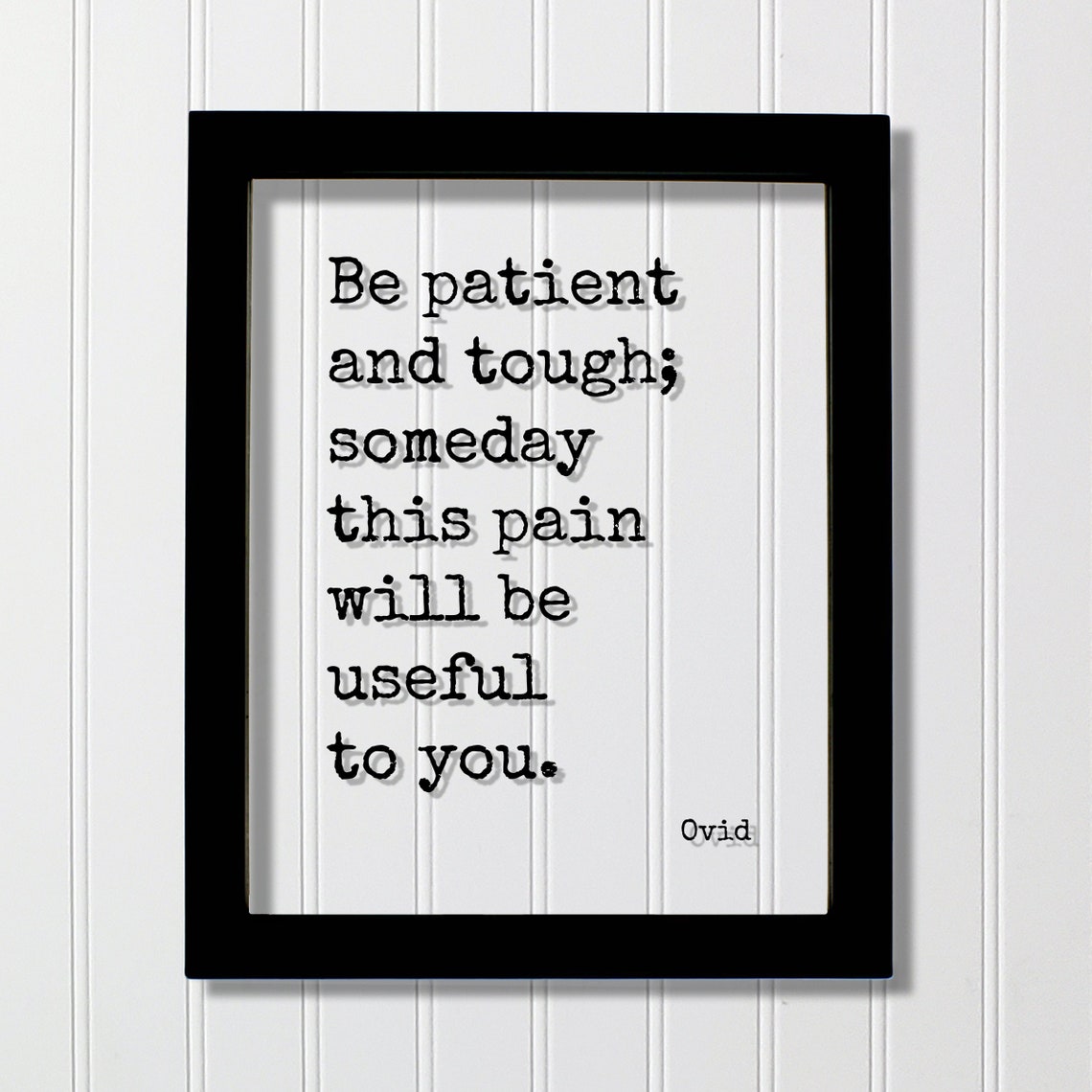 Ovid Be Patient And Tough Someday This Pain Will Be Useful Poster