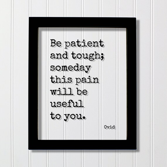 Ovid Be Patient And Tough Someday This Pain Will Be Useful Poster