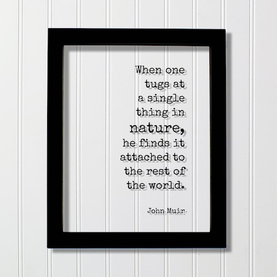 John Muir Nature Interconnectedness Inspirational Quote Poster