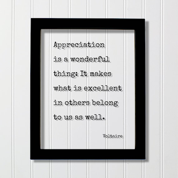 Voltaire Appreciation Is a Wonderful Thing Inspirational Quote Poster
