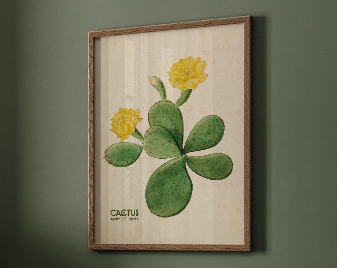 Vintage Botanical Art, Boho Western Decor Print