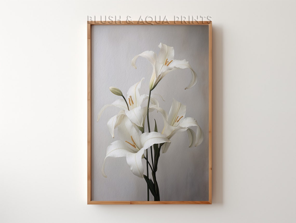Serene White Lily Blossom Minimalist Botanical Wall Art Photo