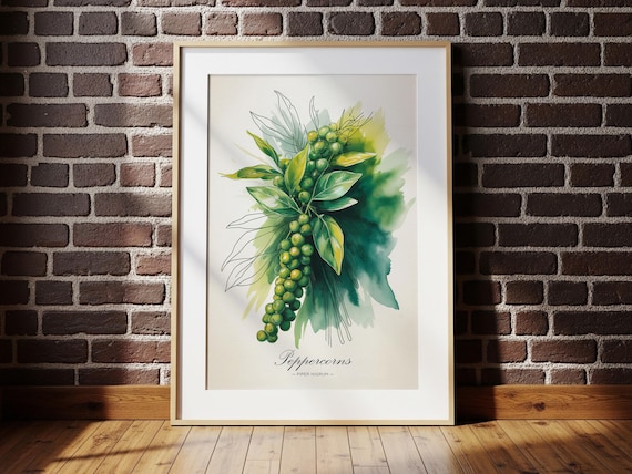 Peppercorn Vine Watercolor Botanical Spice Art Print Kitchen Decor