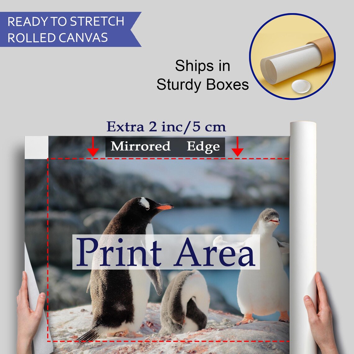 Happy Penguin Family Rocky Shore Cute Baby Penguin Photography Poster - Image 4