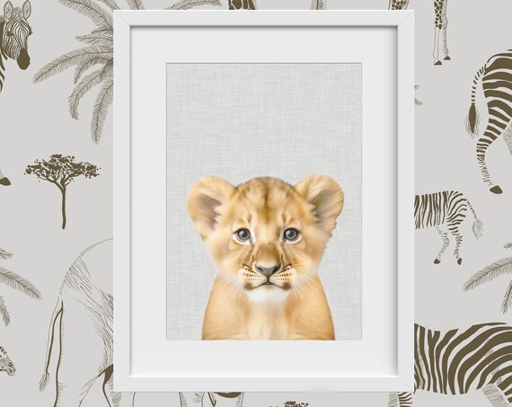 Baby Lion Cub Photo Portrait Safari Nursery Cute Animal Poster
