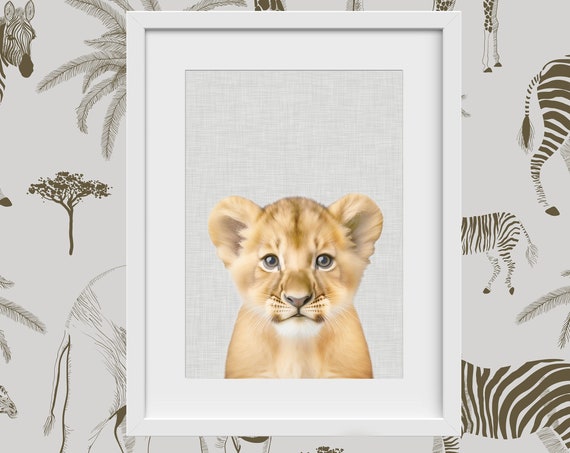 Lion Portrait Gray Canvas Background Safari Animal Print Kid And Baby Nursery Art Wall Decor