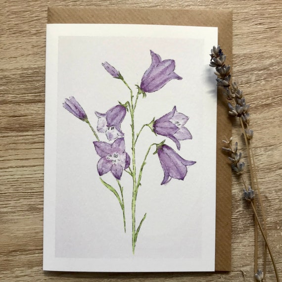 Bellflower Card Art Print